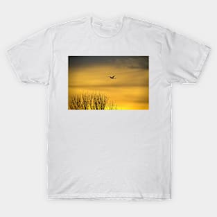 Golden Sky T-Shirt